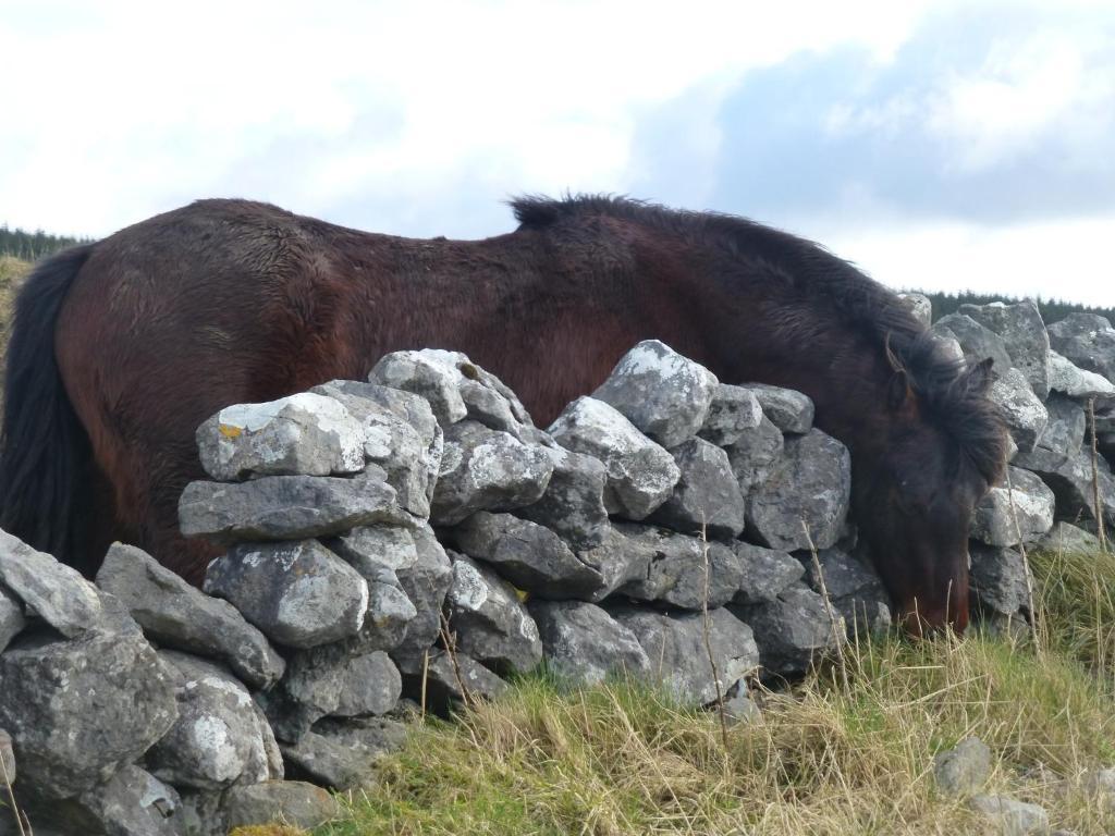 Rathbaun Hotel Lisdoonvarna Luaran gambar